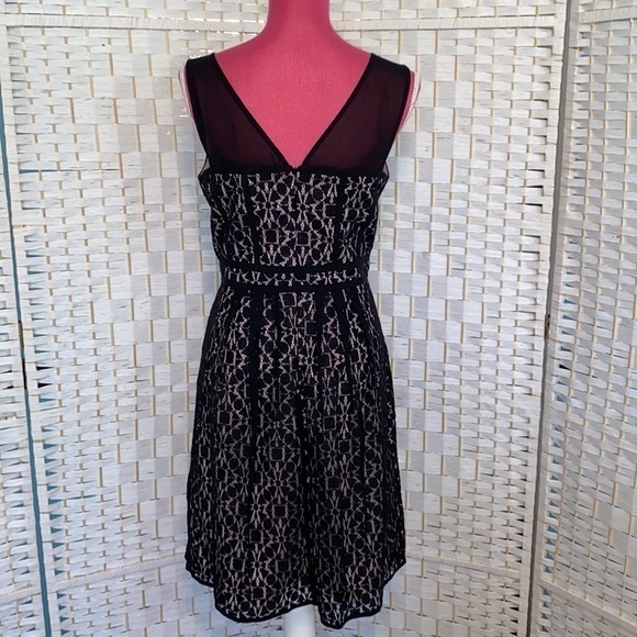 Adrianna Papell Sweetheart Sheer Fit and Flare Dress Size 10 - Picture 3 of 13